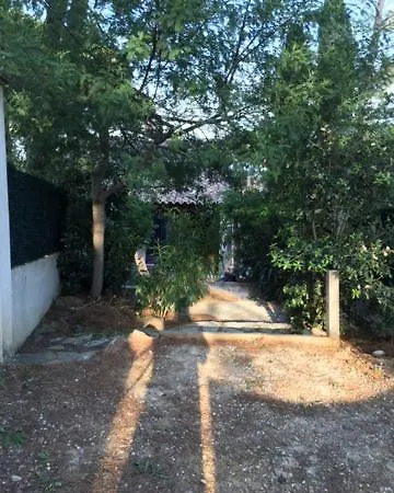 Maora